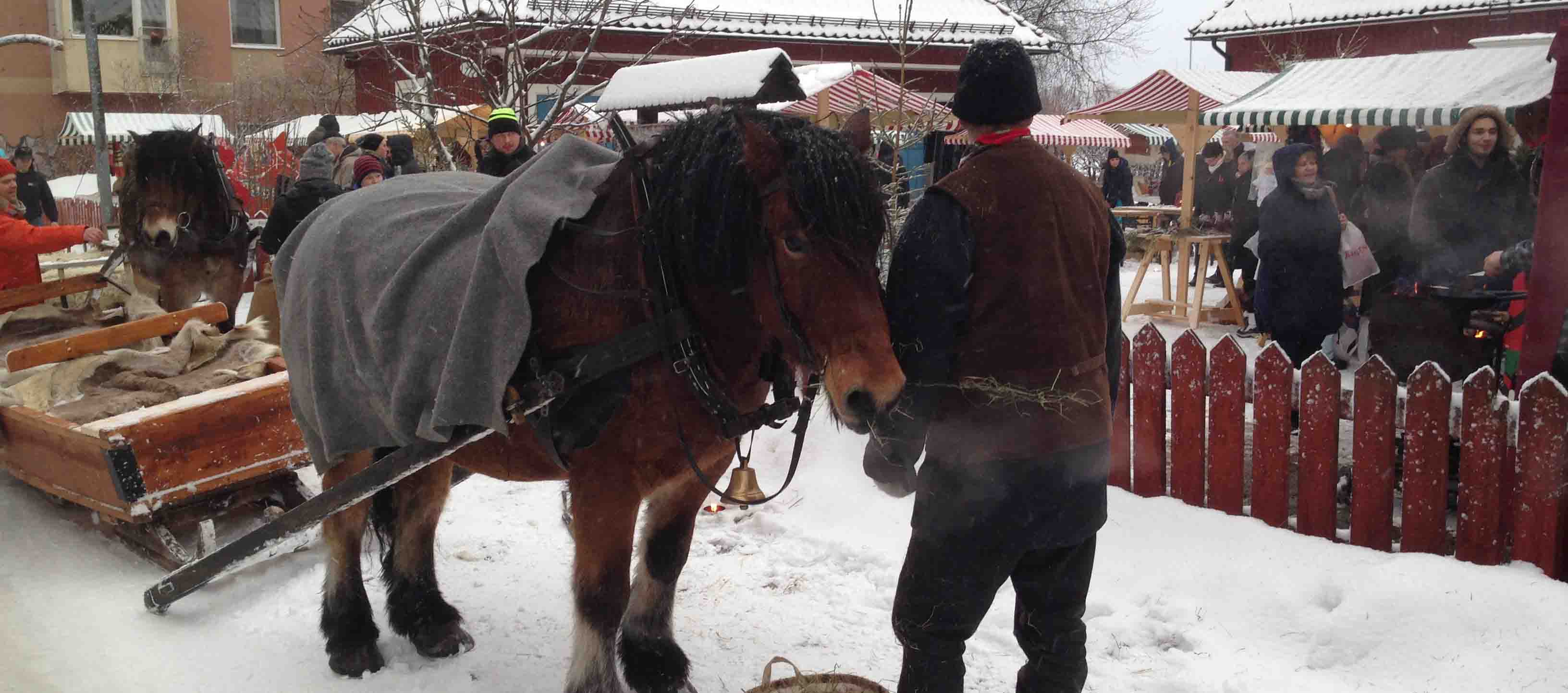 Mässor Marknader i Dalarna SeBra Event AB